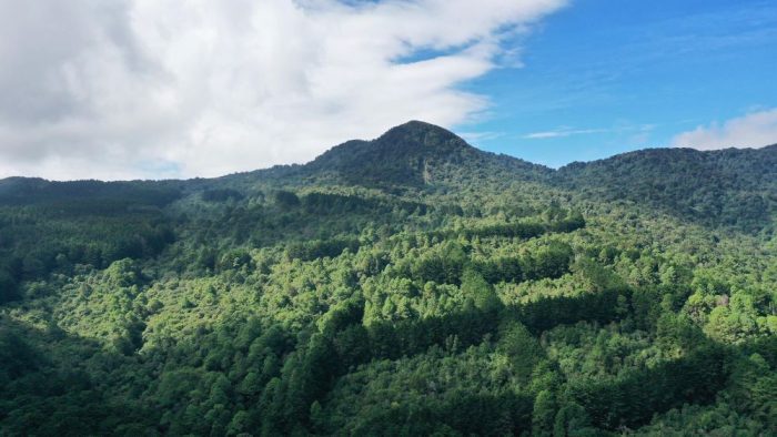 Desde densos bosques nubosos hasta impresionantes paisajes volcánicos, estas áreas protegidas ofrecen una variedad de experiencias para los amantes de la naturaleza y los aventureros