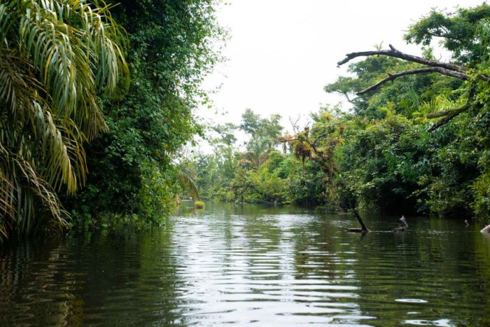 Explorar Nicaragua es una experiencia que va más allá de los paisajes impresionantes; es una inmersión en la esencia de la aventura