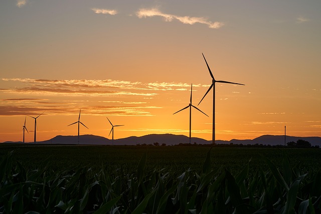 El notable ascenso tecnológico de China en energías limpias ha sido determinante para la transición global