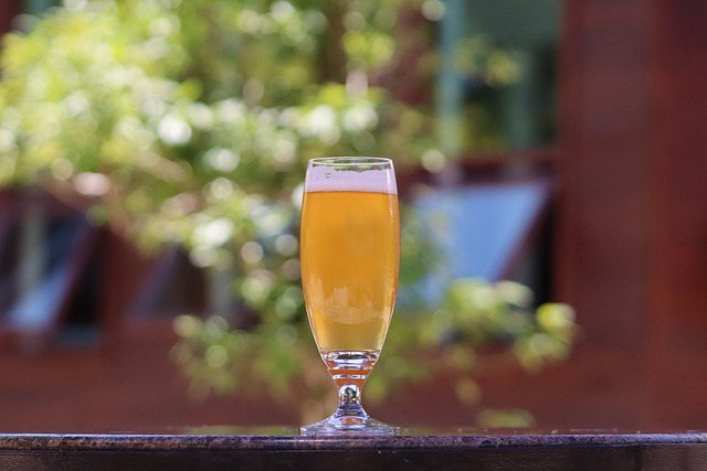 Descubre qué es la cerveza IPA, su origen, tipos, sabor y por qué se ha convertido en una de las cervezas artesanales más populares del mundo