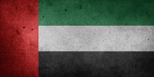 La salida de los Emiratos Árabes Unidos de la OPEC, anunciada oficialmente el 28 de abril de 2026 ha creado tensiones regionales