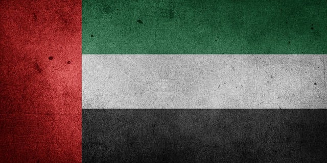 La salida de los Emiratos Árabes Unidos de la OPEC, anunciada oficialmente el 28 de abril de 2026 ha creado tensiones regionales